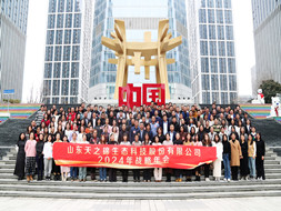 龙腾盛会，扬帆启航 | 3499拉斯维加斯2024年会盛典圆满举办